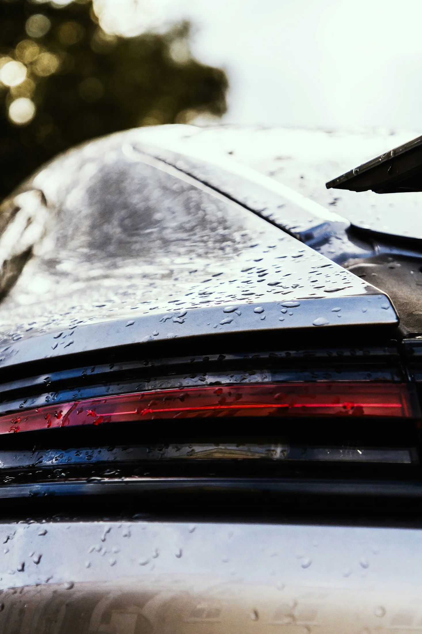 Water beading on protected paint after ceramic coating